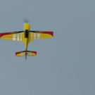DSC05173_JPG-1304251517