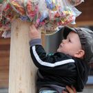 Maibaum H__chst 2011 35_jpg-1304259925