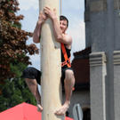 Maibaum H__chst 2011 50_jpg-1304259967