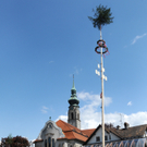 Maibaum H__chst 2011 79_jpg-1304260070