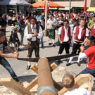 Maibaum H__chst 2011 121_jpg-1304260204