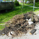 110_2350_JPG-1304270108