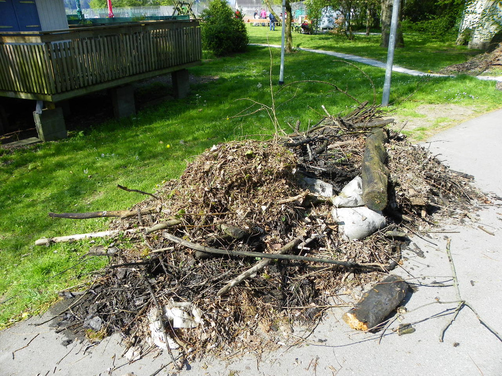 110_2350_JPG-1304270108