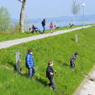 110_2272_JPG-1304270147