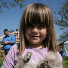 IMG_4470_jpg-1304270588