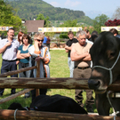 IMG_4480_jpg-1304270746