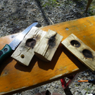 110_3902_JPG-1304271716