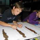 110_3334_JPG-1304272650