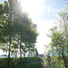 IMG_5422_jpg-1304277419