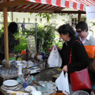 Baum 090_jpg-1304314571