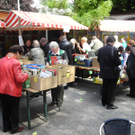 Baum 137_jpg-1304314711