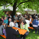 Baum 165_jpg-1304314807