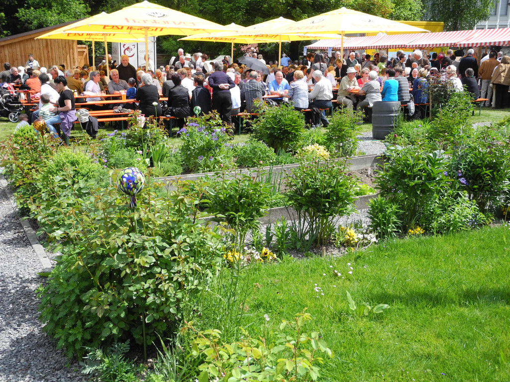 DSCN6033_JPG-1304314847