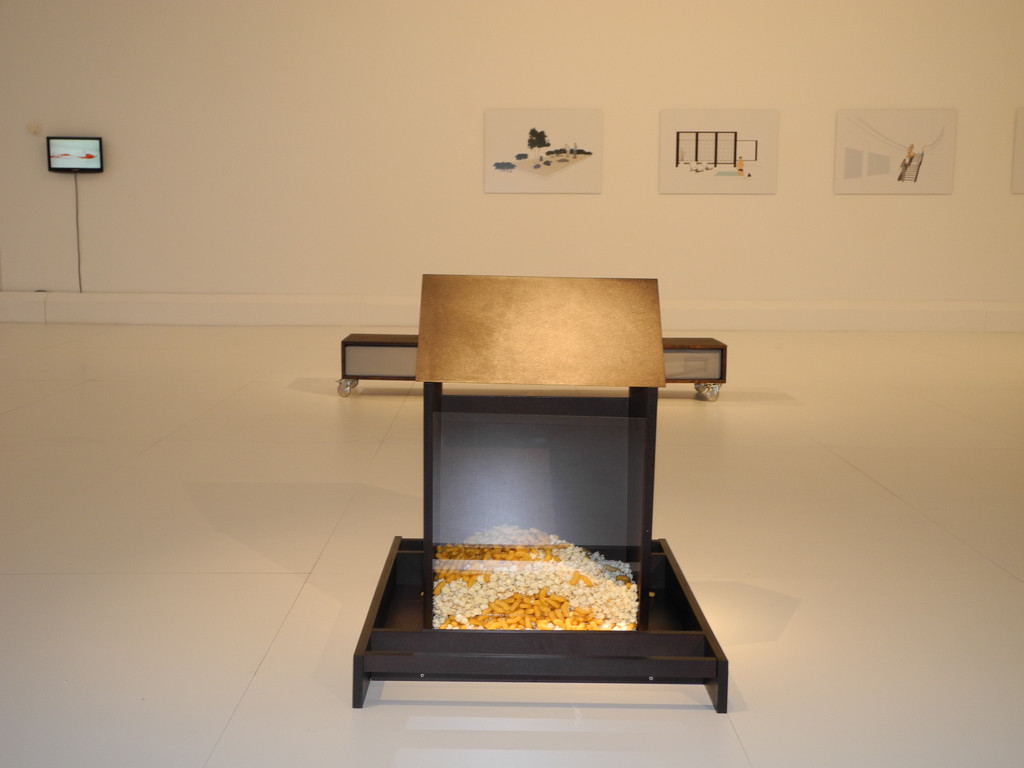 DSCN5656_JPG-1304316479