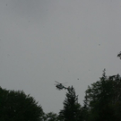 normal_01052011sucheffaktivnews_282.jpg