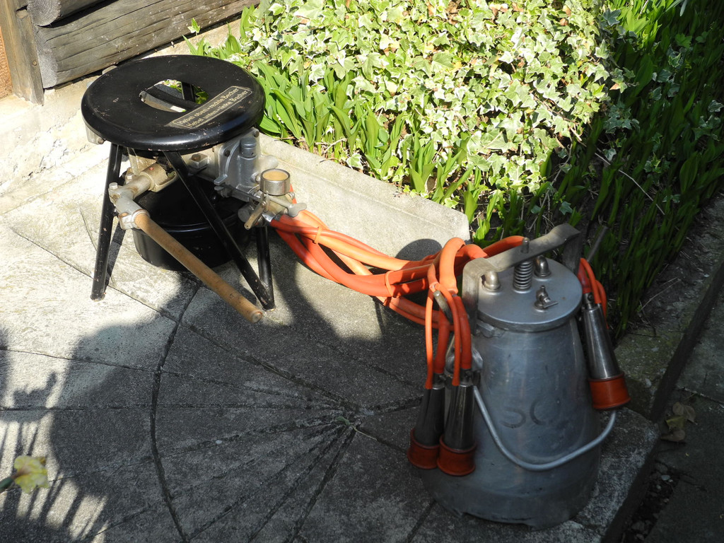 DSCN5254_JPG-1304318857