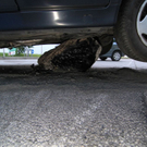 normal_01052011taxiraubffaktivnews_29.jpg