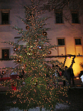 Punsch9Baum.jpg