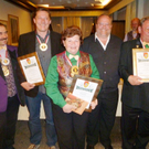 Narren2VVF-Gold_jpg-1304330296