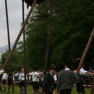 normal_01052011maibaummarzollaktivnews_02.jpg