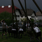 normal_01052011maibaummarzollaktivnews_43.jpg