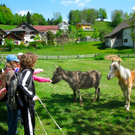 BK_gurtis_lager 15_jpg-1304353062