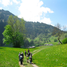 BK_gurtis_lager 26_jpg-1304353103