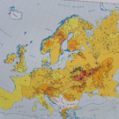 110_5025_JPG-1304369260