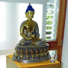 101_8721_jpg-1304370235