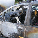 autobrand-006.jpg