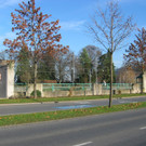IMG_7971.JPG