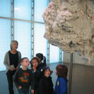 IMG_7914.JPG