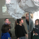 IMG_7921.JPG