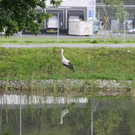 IMG_5665.jpg