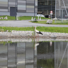 IMG_5667.jpg