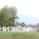IMG_5672.jpg
