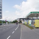 DSC08343.JPG