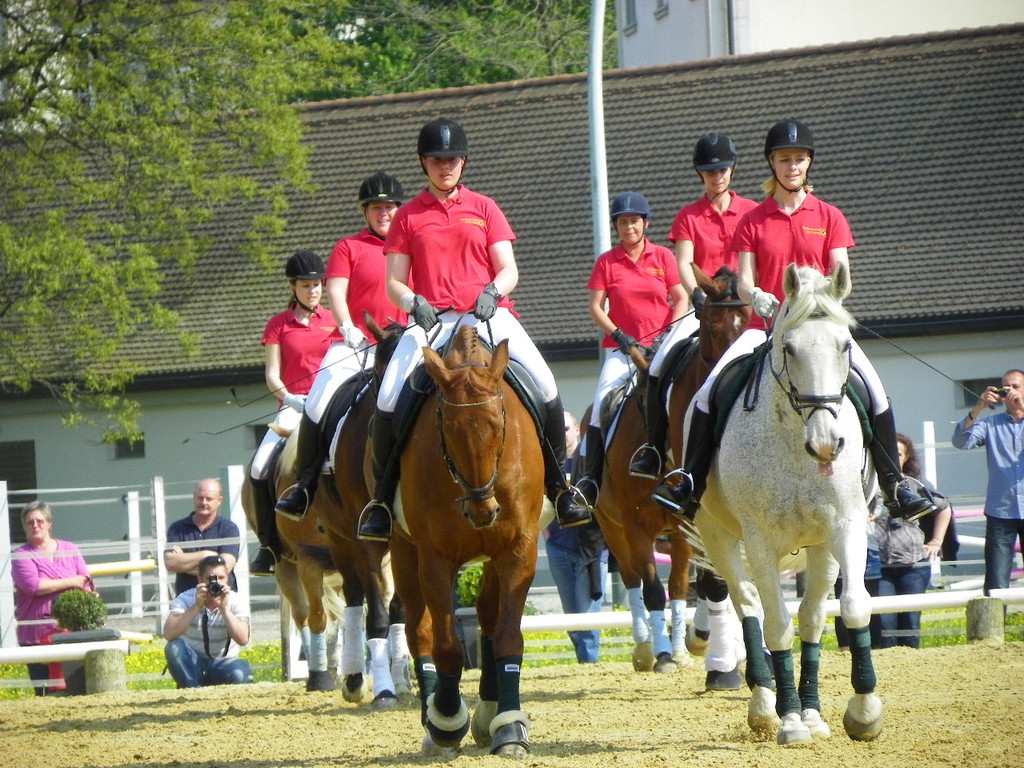 110_4886_JPG-1304444565