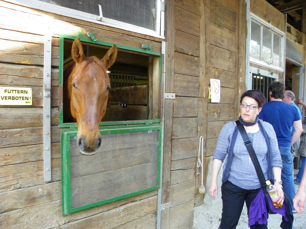 110_4761_JPG-1304444477