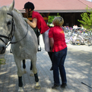 110_4778_JPG-1304444484