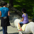 110_4799_JPG-1304444498