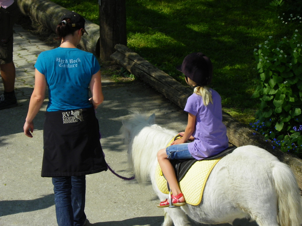 110_4799_JPG-1304444498