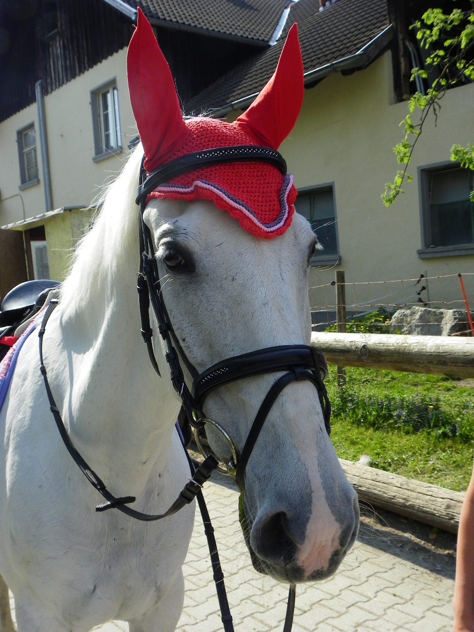 110_4811_JPG-1304444513