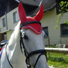 110_4811_JPG-1304444513