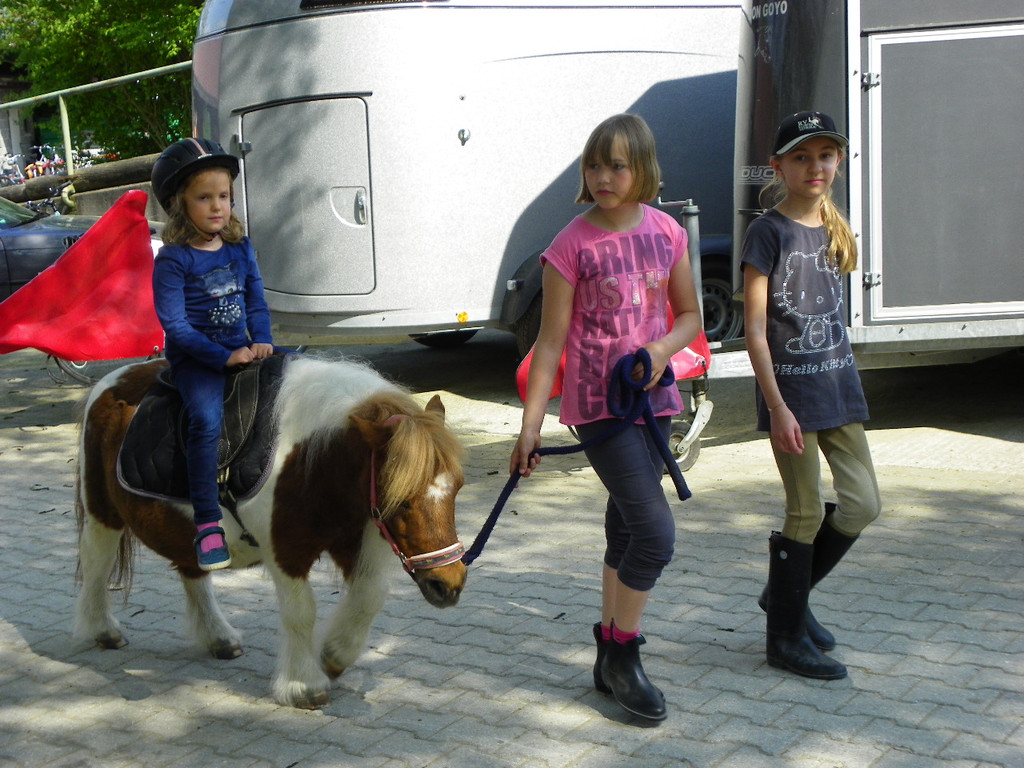 110_4819_JPG-1304444521