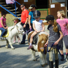 110_4828_JPG-1304444535