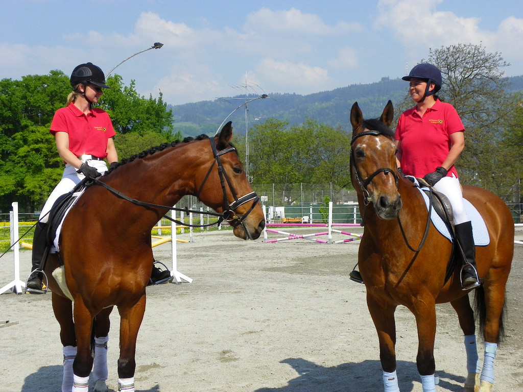 110_4832_JPG-1304444543