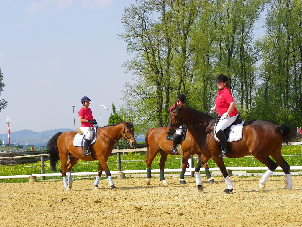 110_4864_JPG-1304444550