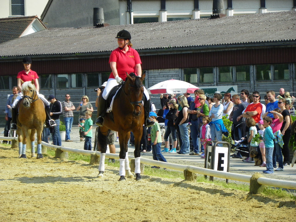 110_4867_JPG-1304444557