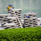 19_4_11 264_jpg-1304462705